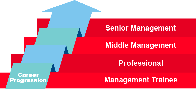 Career progression4.png